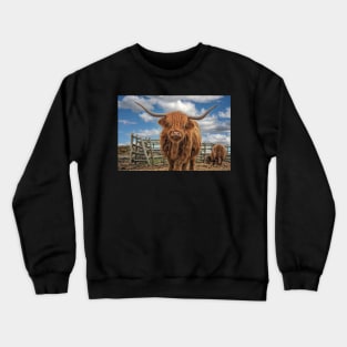 Hairy Highland Cow Crewneck Sweatshirt